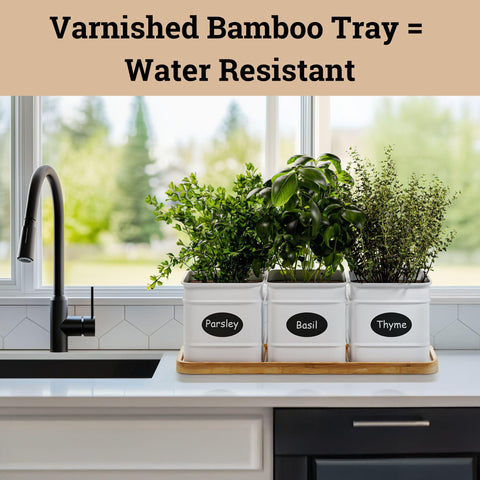 HB Design Co varnished bamboo tray keeps planters organized and protected.