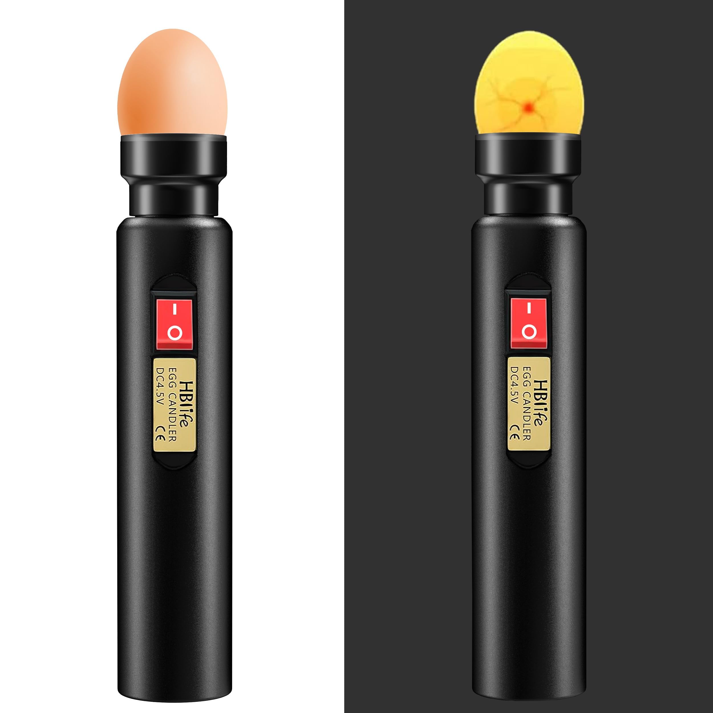 HBlife long battery life powers hours of continuous candling.