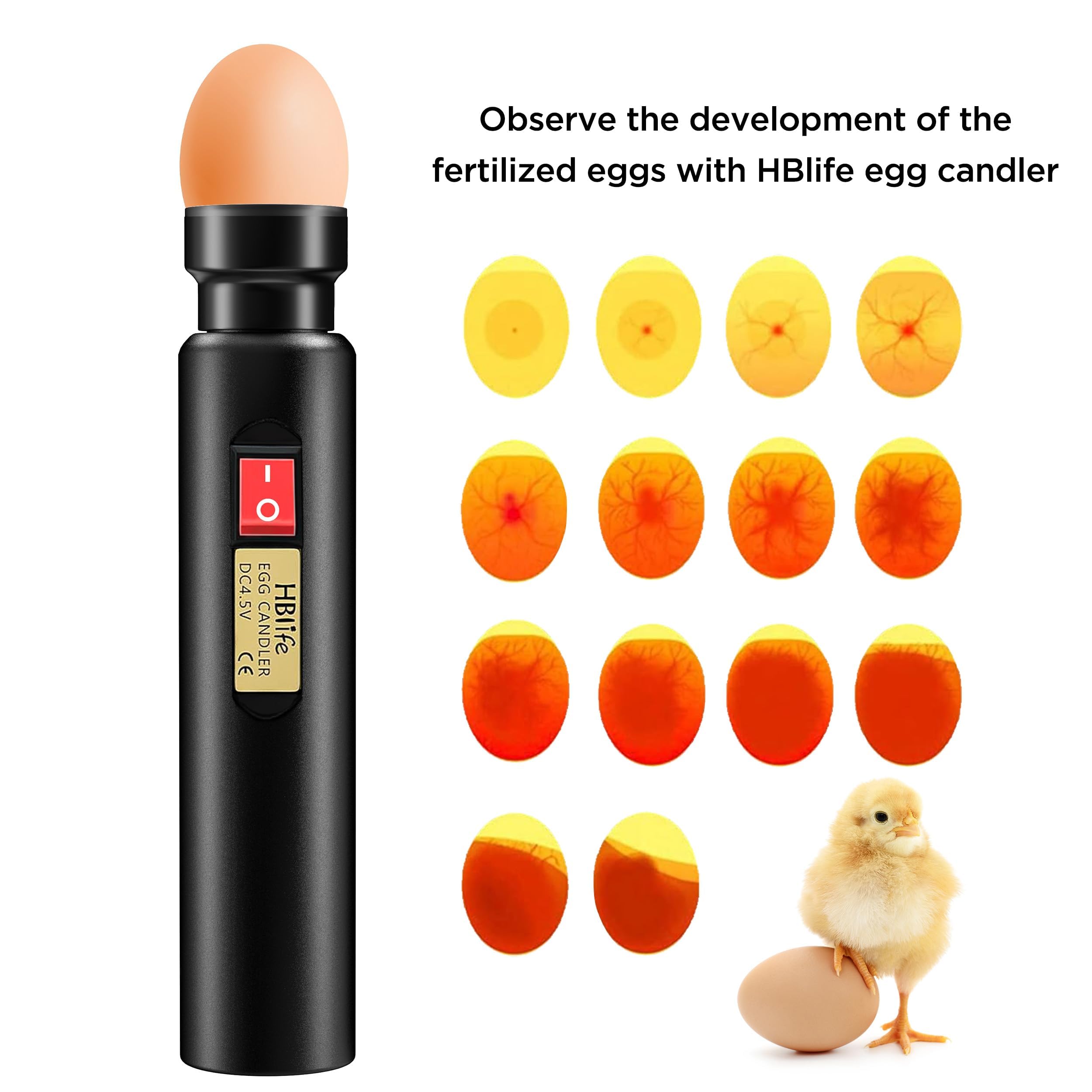 HBlife egg candler used during hatchery or home incubation projects.