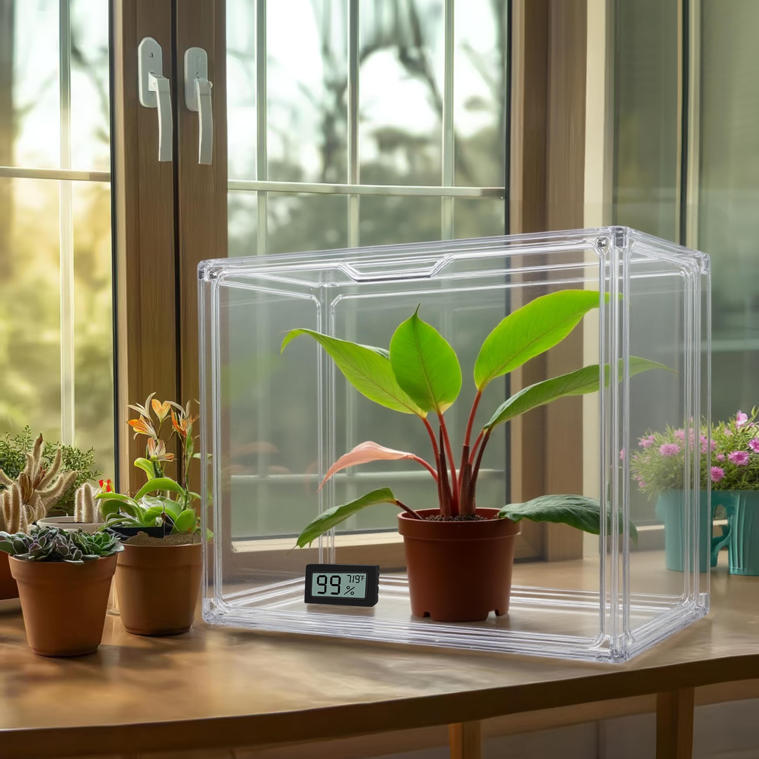 HBlife Mini Greenhouse clear interior offers 360-degree plant visibility.