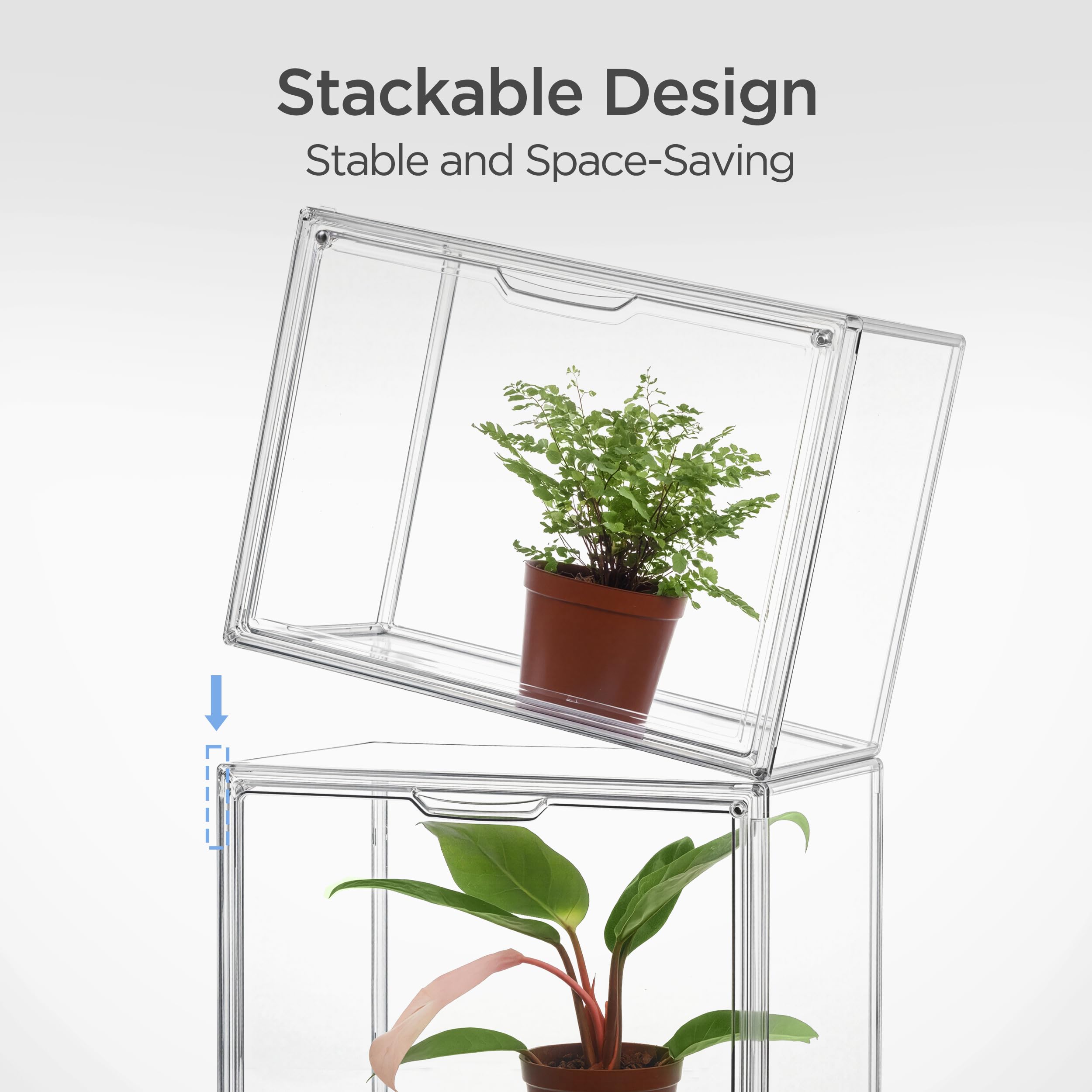 HBlife Mini Greenhouse waterproof barrier protects plants during rain.