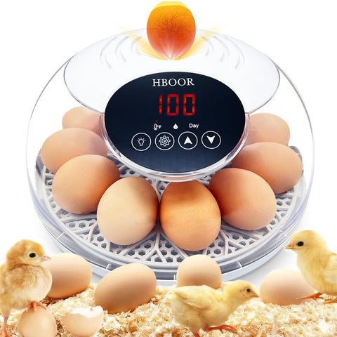 HBOOR 12-egg incubator with automatic turning for steady hatch progress.