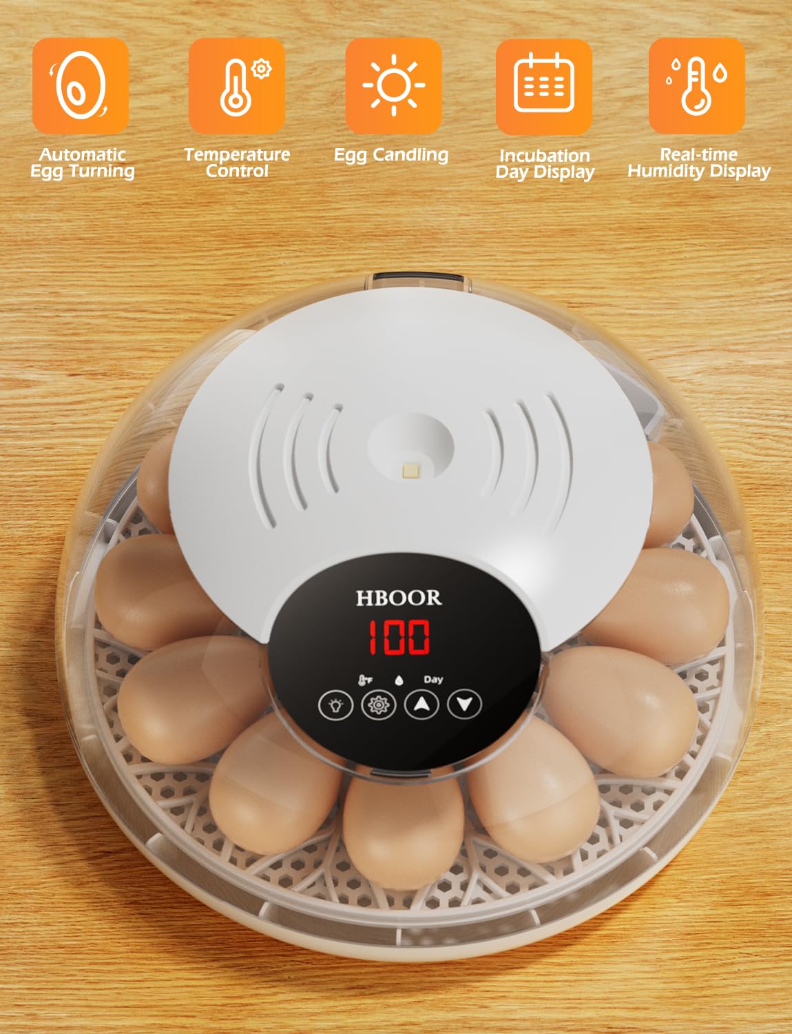 HBOOR 360-degree shell view for easy daily hatching monitoring.