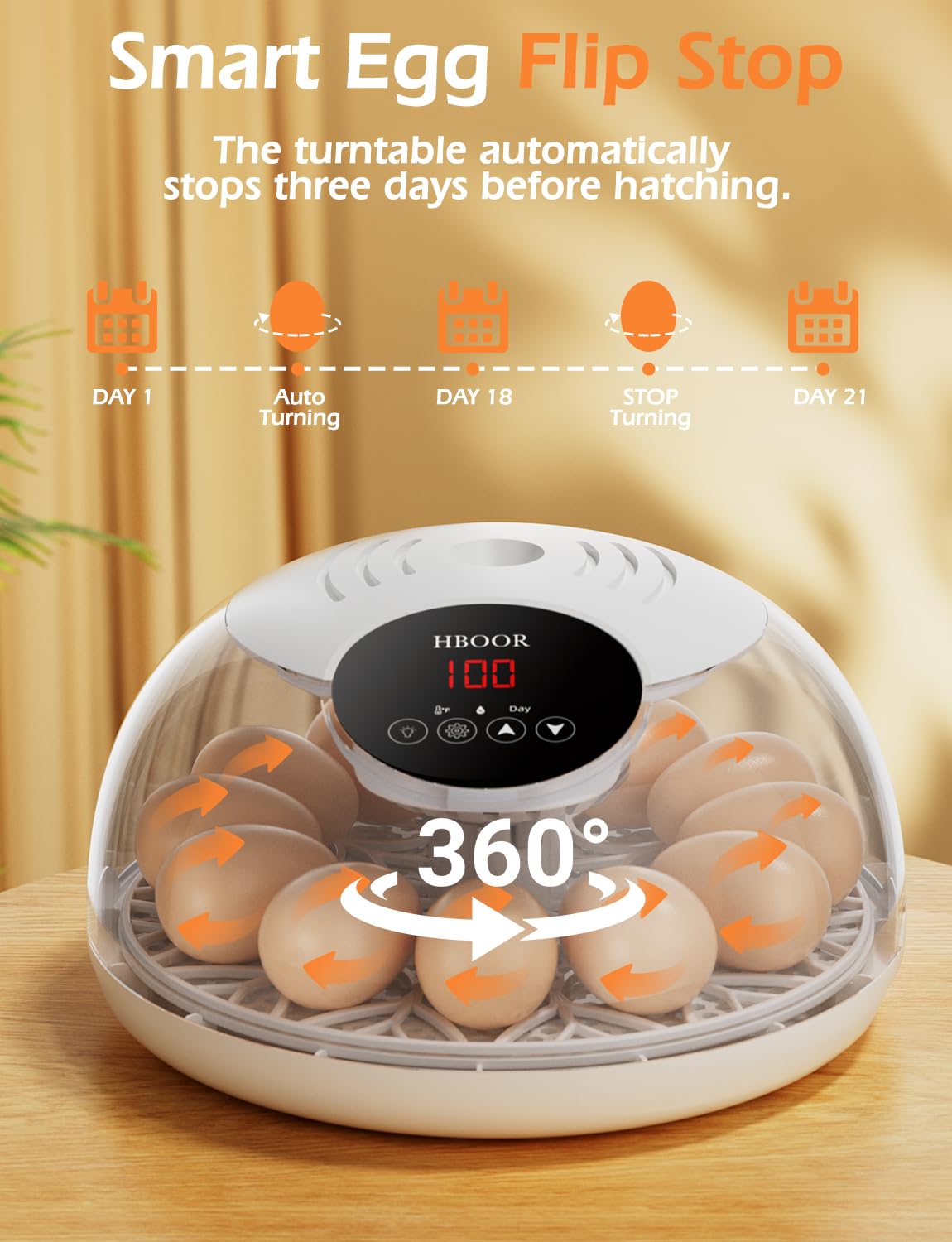 HBOOR egg tray fits 12 eggs for compact home or classroom use.