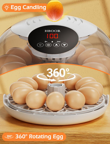 HBOOR incubator with precise temperature and humidity control for stable incubation.