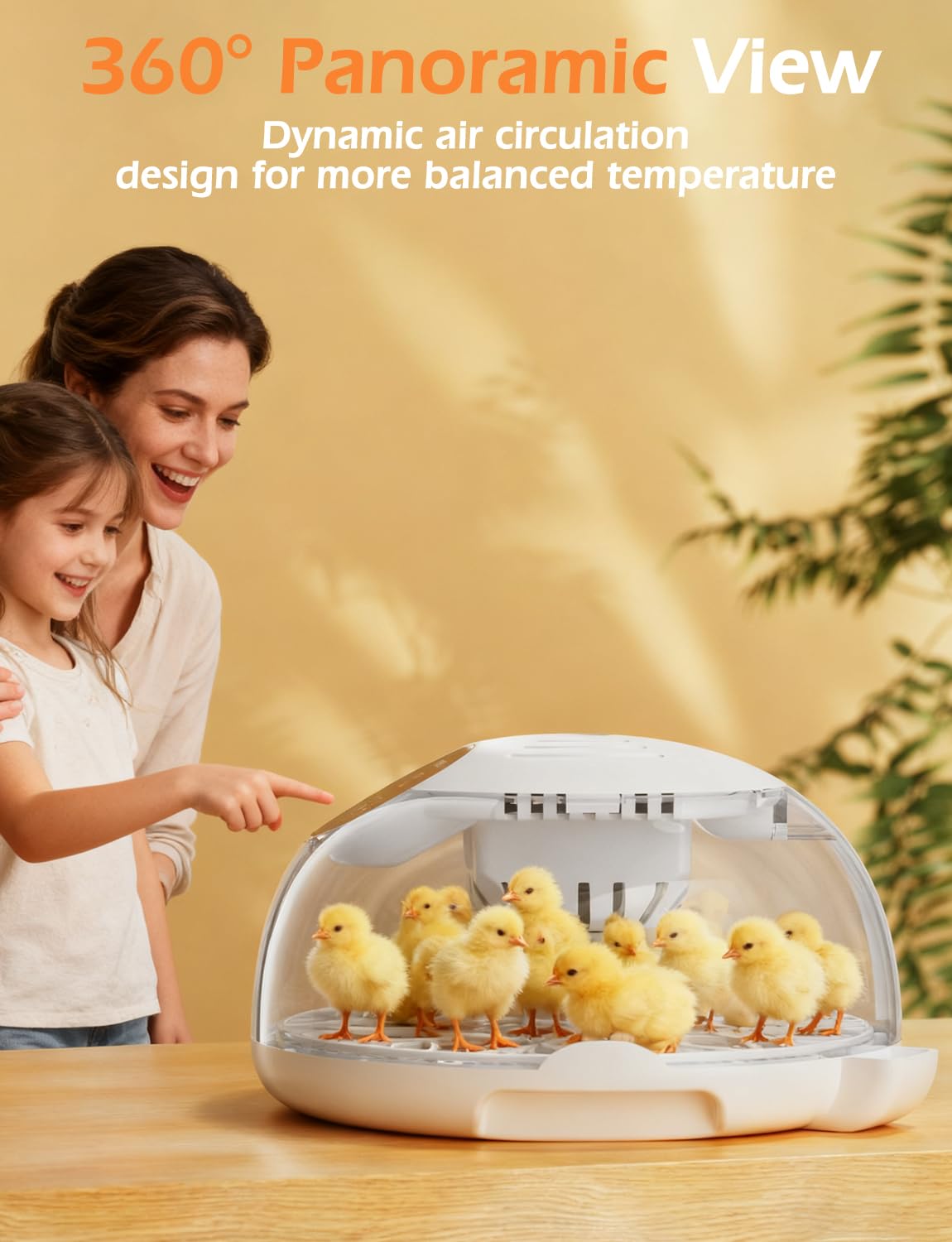 HBOOR one-year warranty and lifetime support for worry-free use.