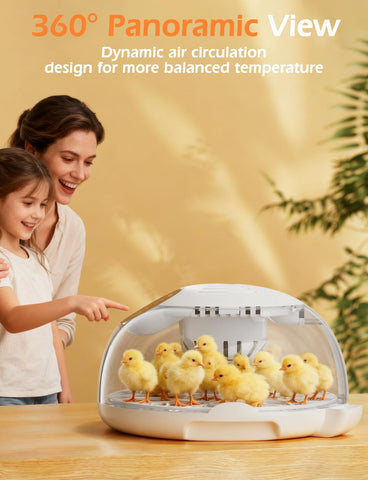 HBOOR one-year warranty and lifetime support for worry-free use.