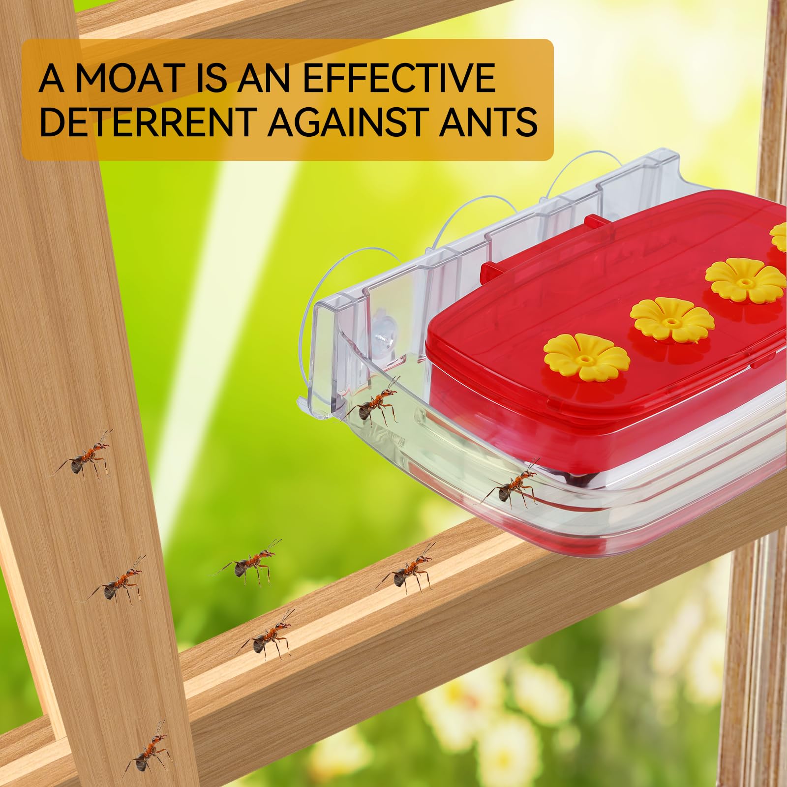 HCGADON transparent nectar container for easy monitoring.