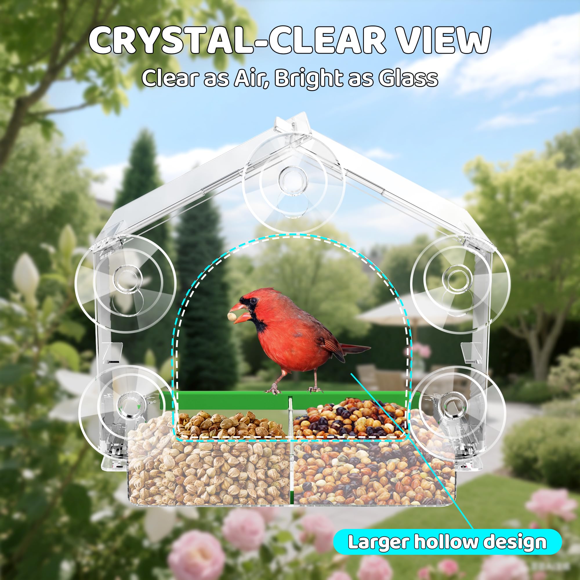HCGADON crystal-clear view delivers immersive window birdwatching from indoors