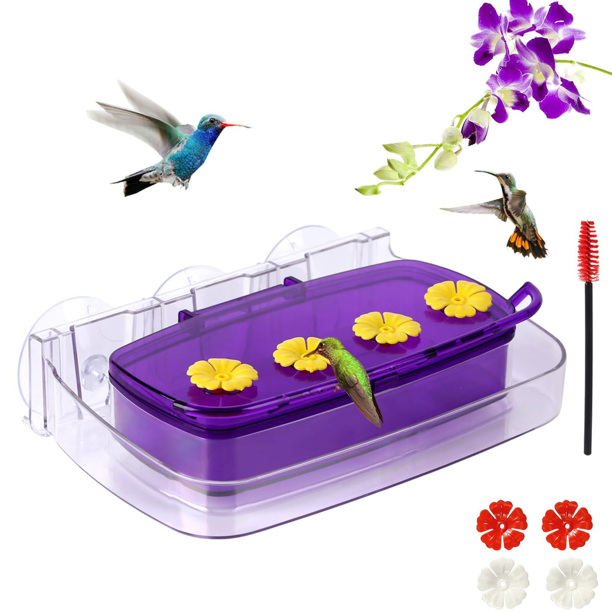 HCGADON window hummingbird feeder with three strong suction cups for secure mounting.