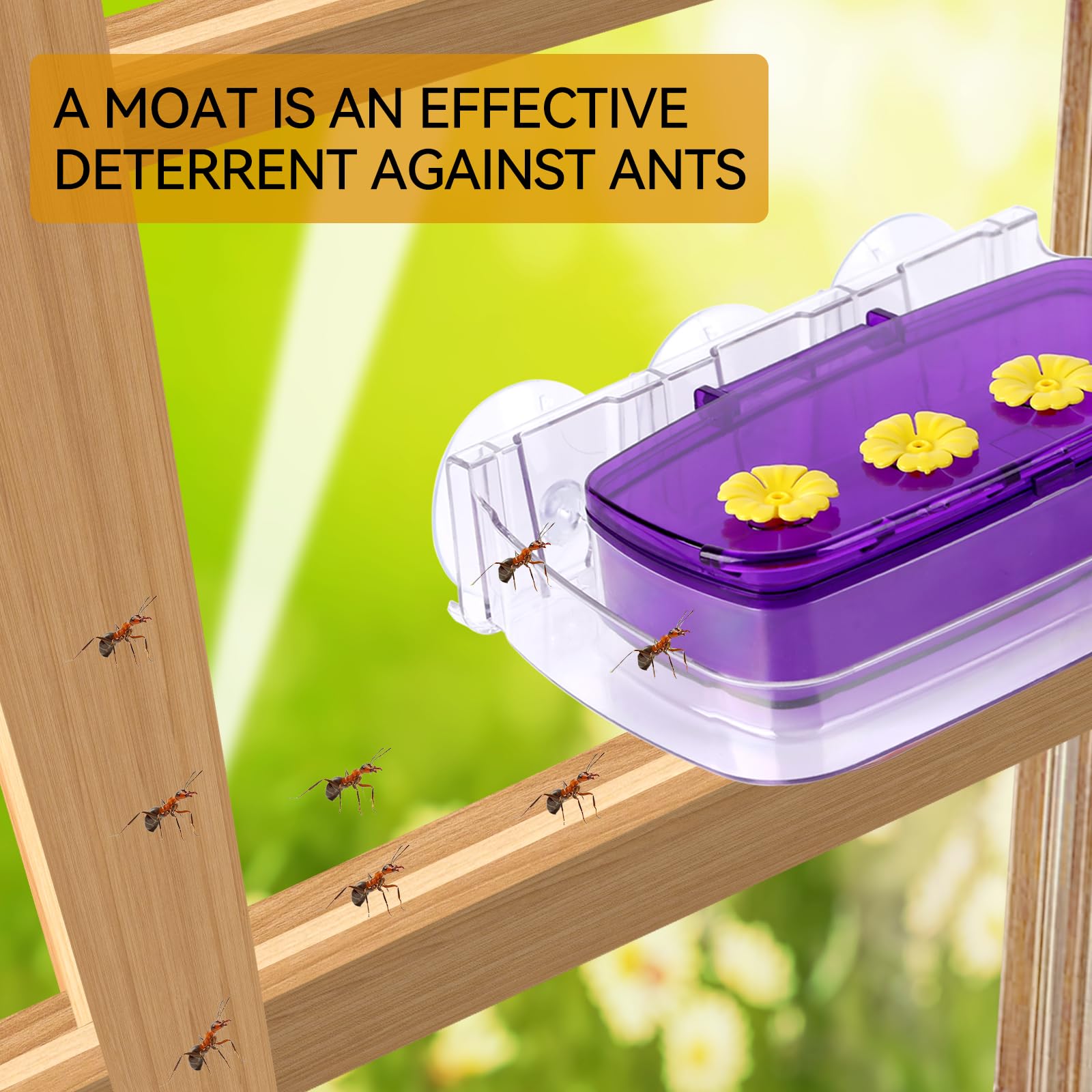HCGADON transparent container enables clear viewing of nectar and activity.