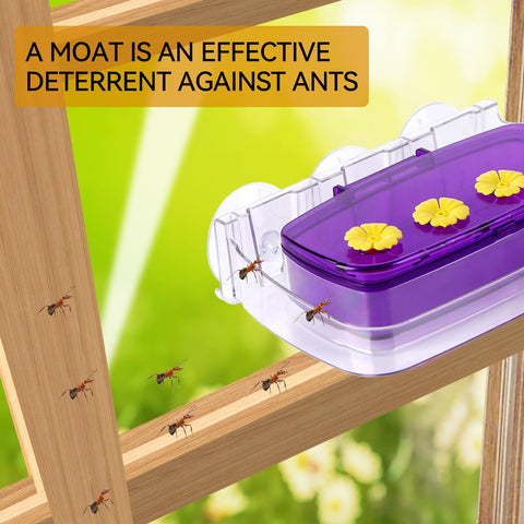 HCGADON transparent container enables clear viewing of nectar and activity.