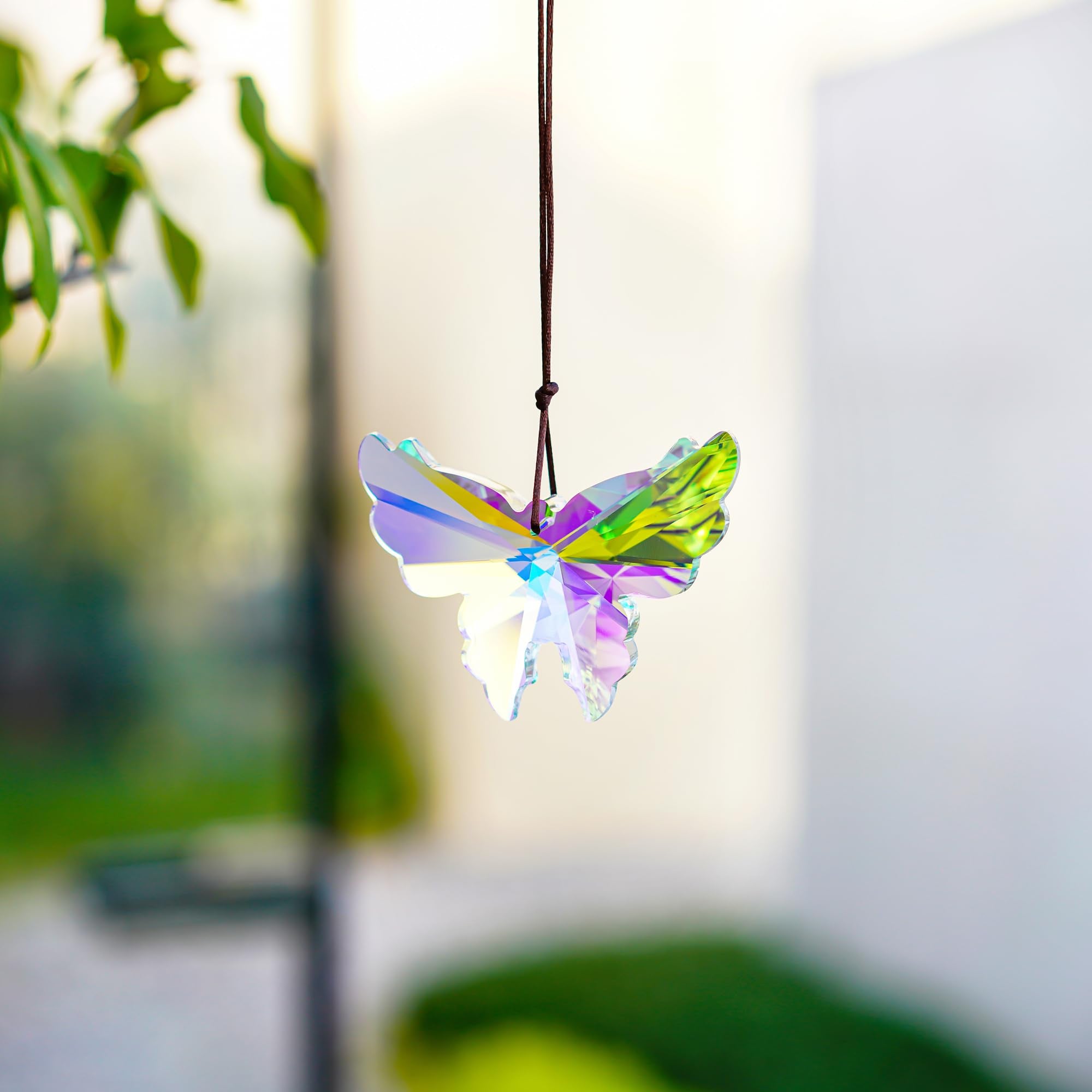 HD Haline Dora curtains and plants decorated with crystal butterfly prisms.