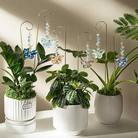 H&D HYALINE & DORA ideal gift for gardeners who love vibrant, functional decor.