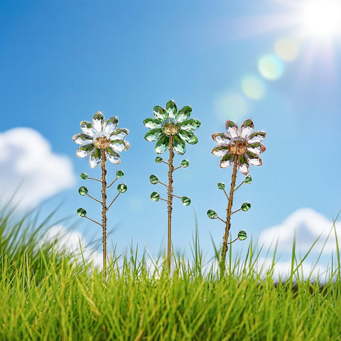 H&D Hyaline & Dora Gift-ready decor for plant lovers and gardeners.