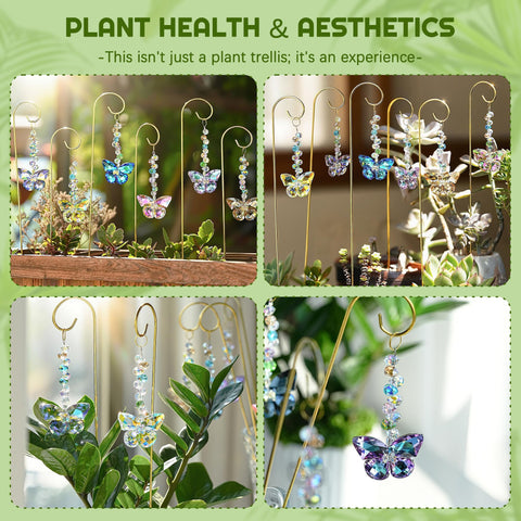 H&D HYALINE & DORA indoor outdoor decor adds color to windowsills, patios, and potted plants.