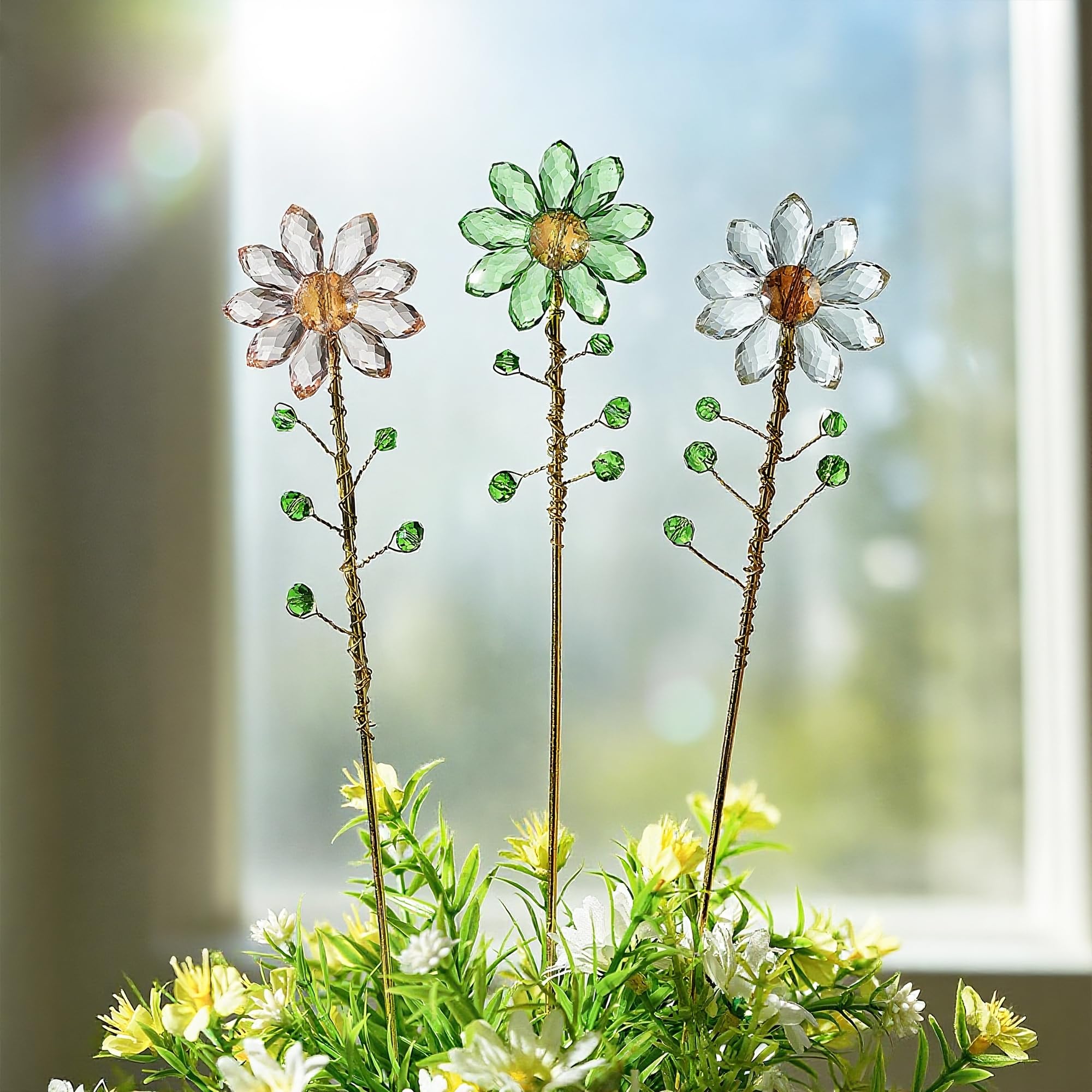 H&D Hyaline & Dora Suncatchers integrated into an indoor garden setup.