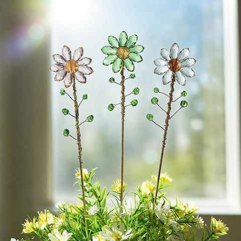 H&D Hyaline & Dora Suncatchers integrated into an indoor garden setup.