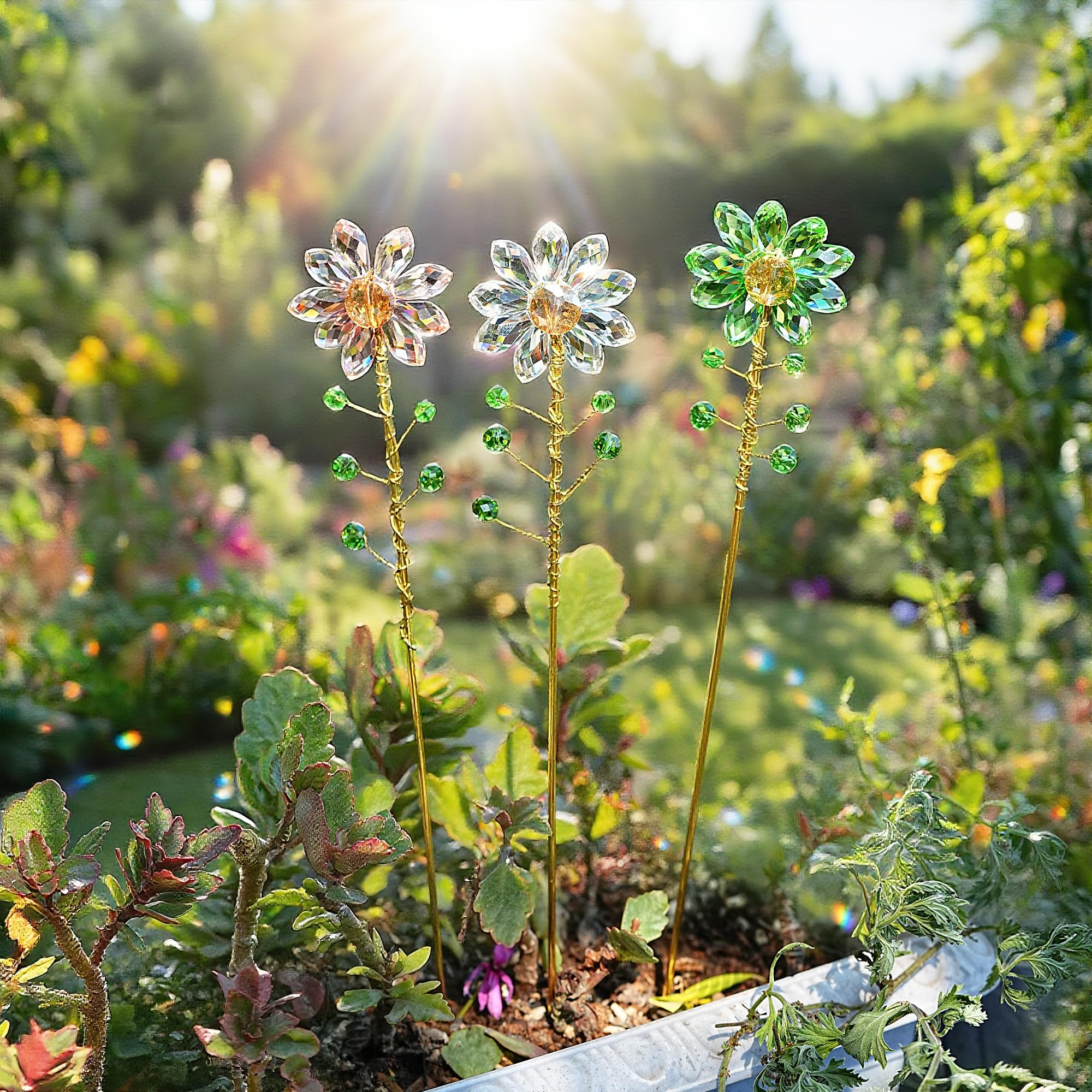 H&D Hyaline & Dora Suncatchers enhancing a sunny patio arrangement.