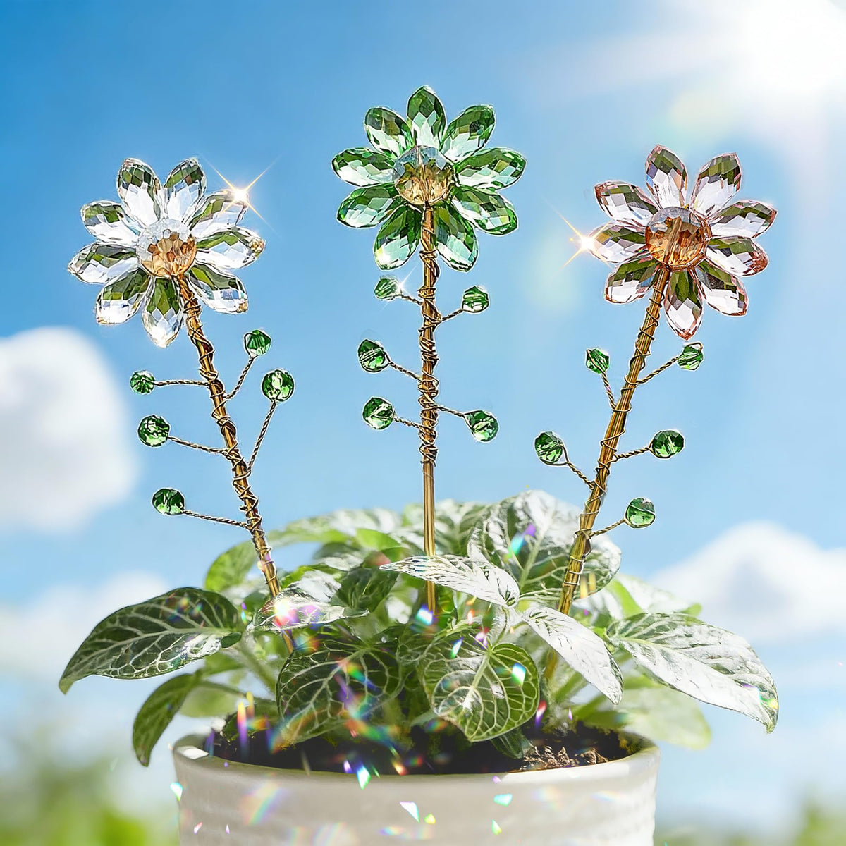 H&D Hyaline & Dora Sunflower Suncatchers in clear color cast rainbows on sunlit windows.