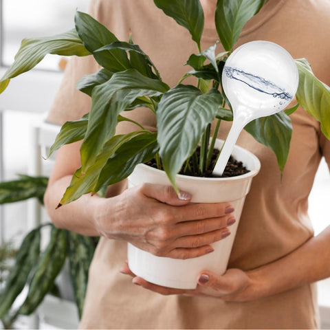 Hdagbnn globe features sharp-tube end for easy insertion.