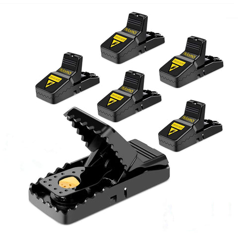 Hdama Mouse Trap six-pack on table demonstrates quick setup and reuse.