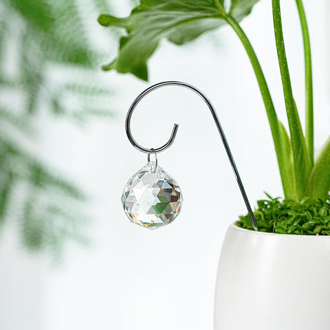 HDCRYSTALGIFTS gift for plant lovers showcasing crystal light display