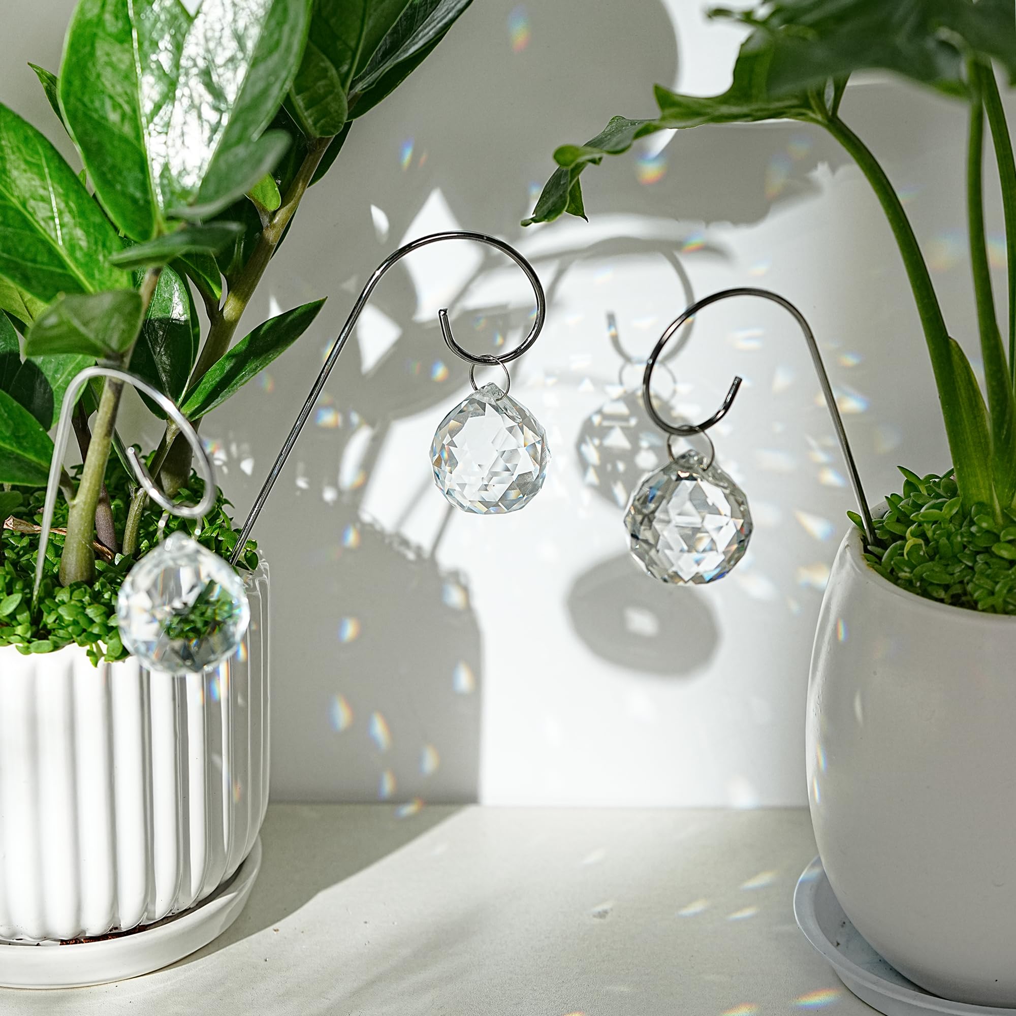 HDCRYSTALGIFTS mini trellis stakes elevating a small plant display