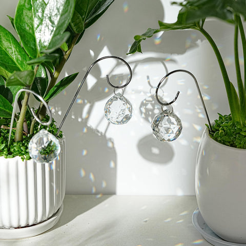 HDCRYSTALGIFTS mini trellis stakes elevating a small plant display