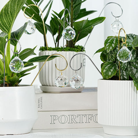 HDCRYSTALGIFTS suncatchers illuminating a garden shelf in sunlight