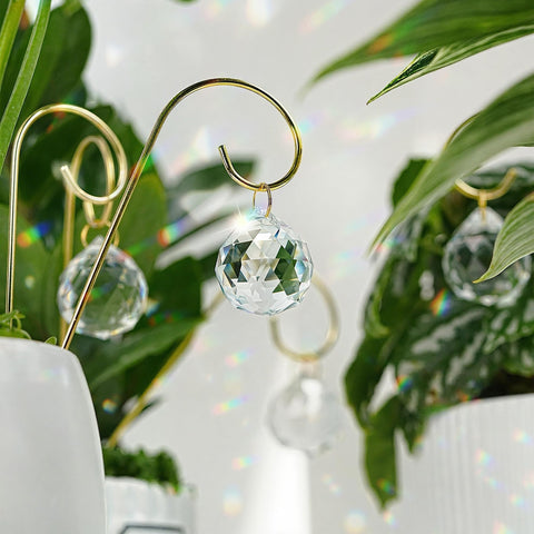 HDCRYSTALGIFTS gift idea for plant lovers and home decorators.