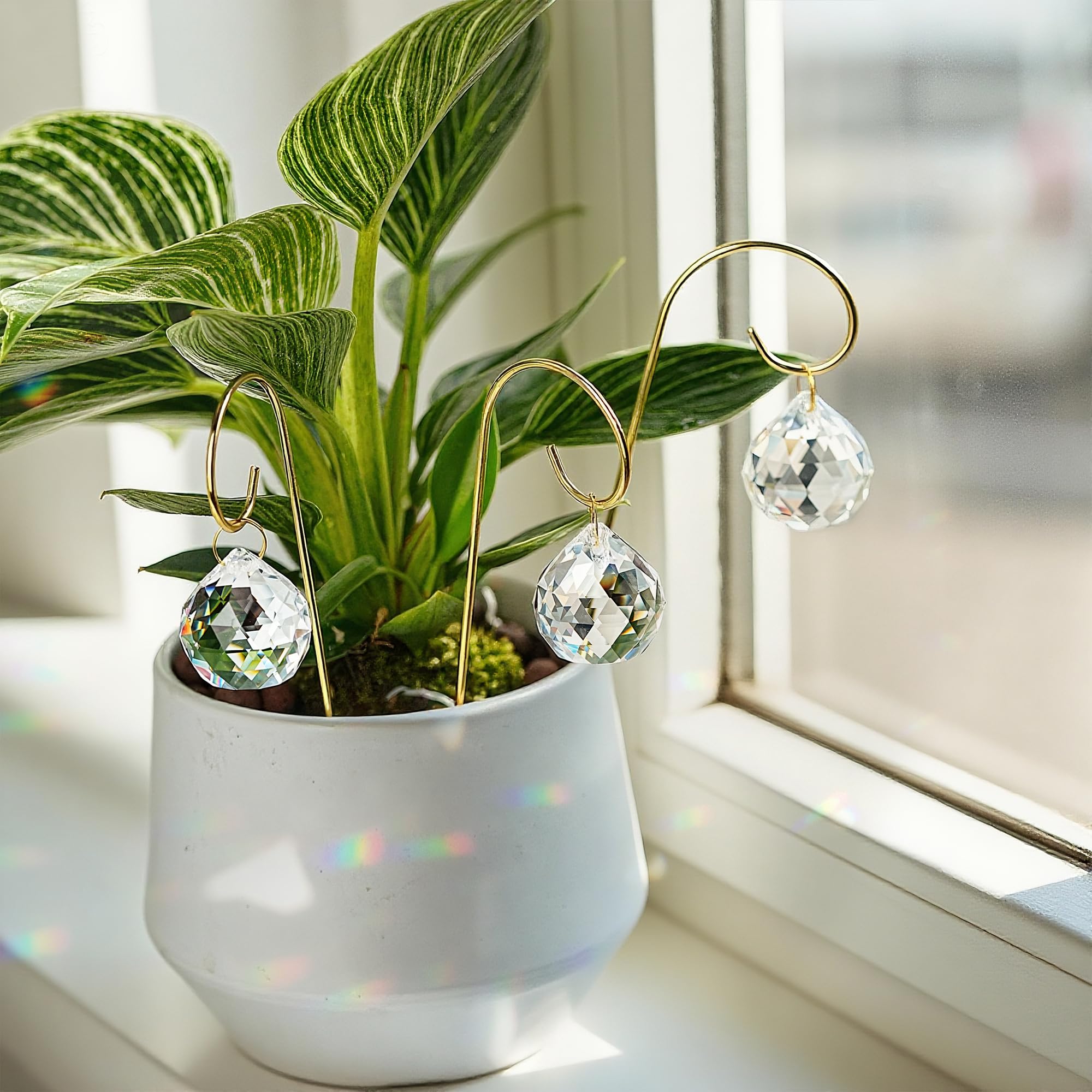 HDCRYSTALGIFTS nine 30mm crystal balls cast rainbow light on plant leaves.