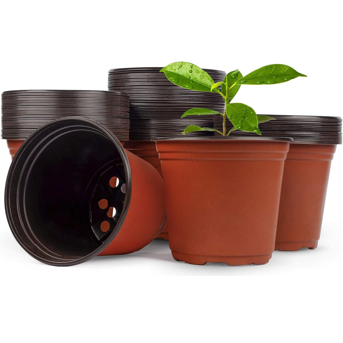 Hdeoops 6-inch seed starting pot front view for seedling prep.