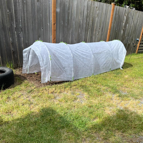 Hdeoops DIY greenhouse tunnel setup demonstration for efficient gardening