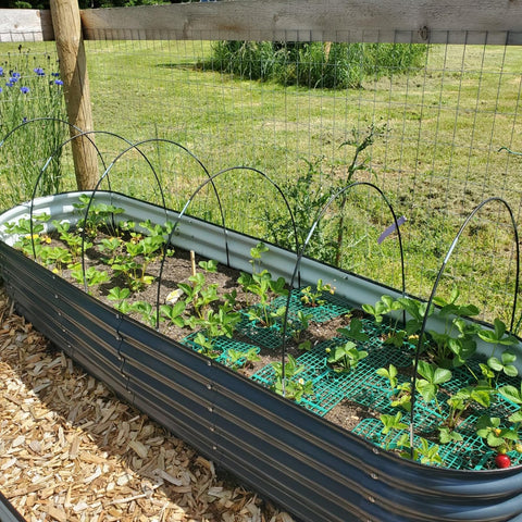 Hdeoops fiberglass frame resists rust, ensuring durable garden support