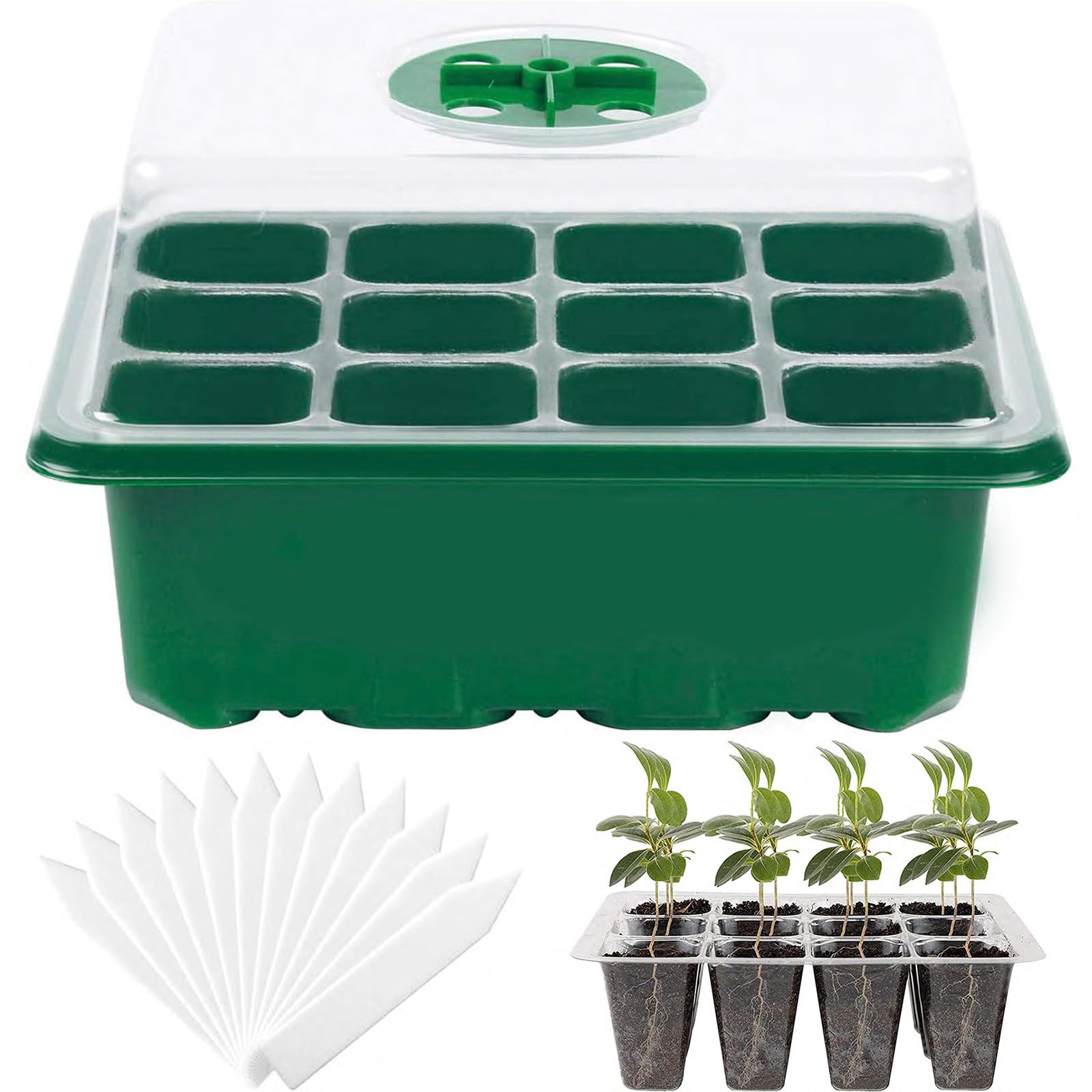 Hdeoops seed starter tray 12 cells with full seedling kit for organized planting.