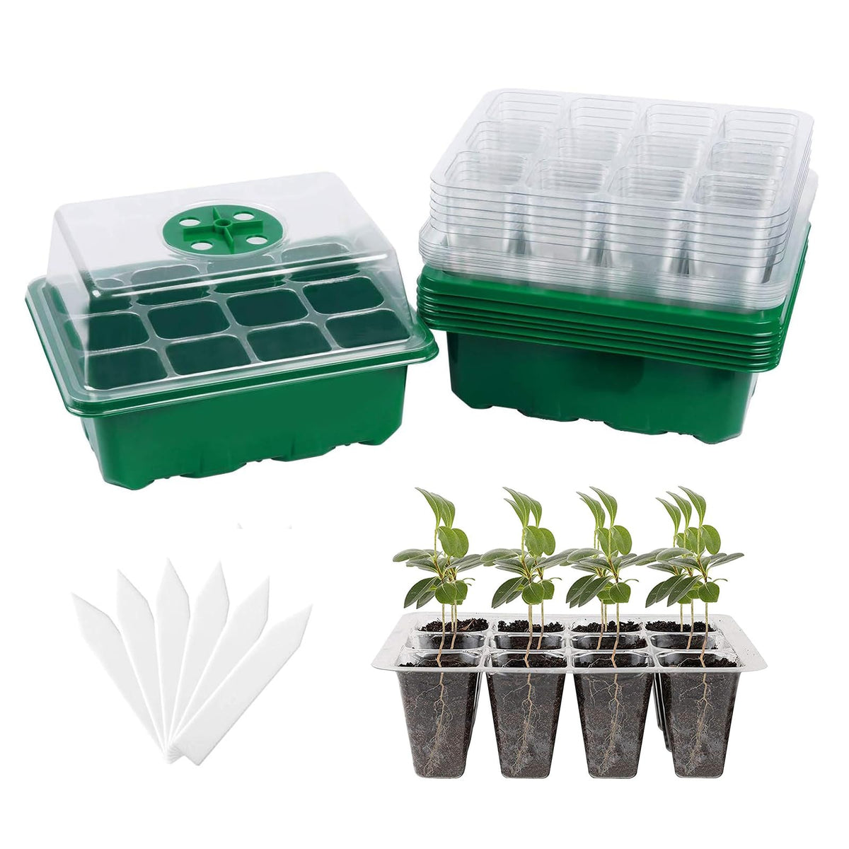 Hdeoops seed starter tray with six trays for efficient seed germination.