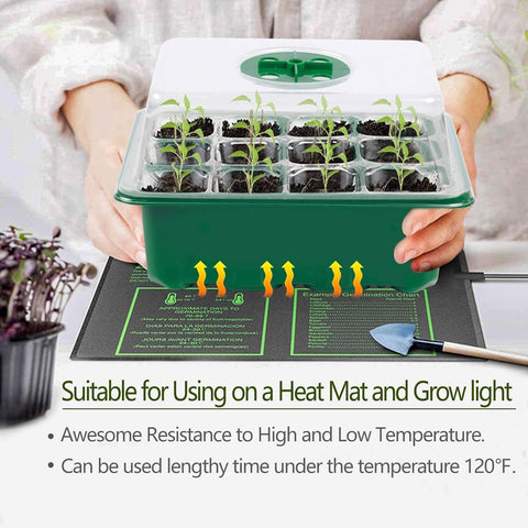 Hdeoops stackable seed trays save space during seedling care.