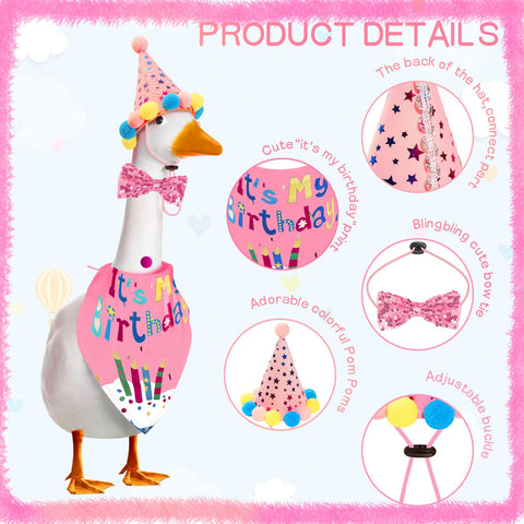 HDGDT birthday cake hat on porch goose creates bright party vibes