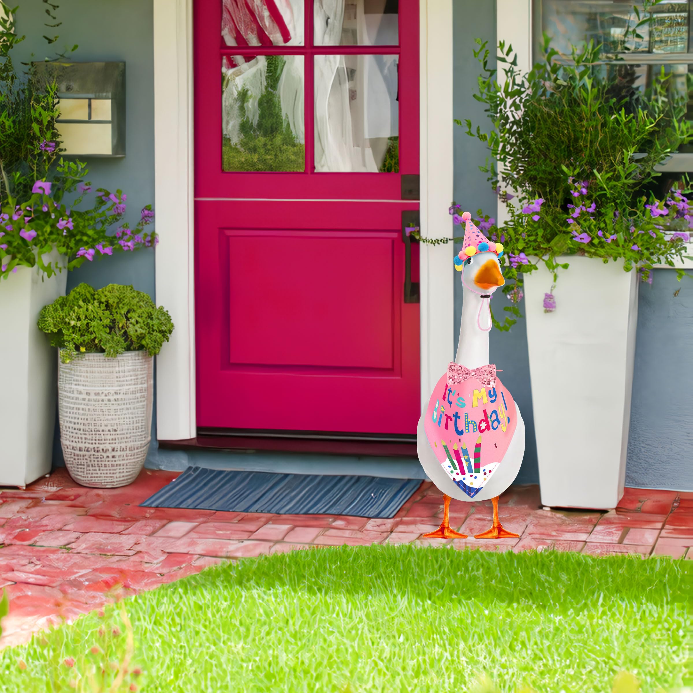 HDGDT weather-resistant birthday set ready for outdoor display
