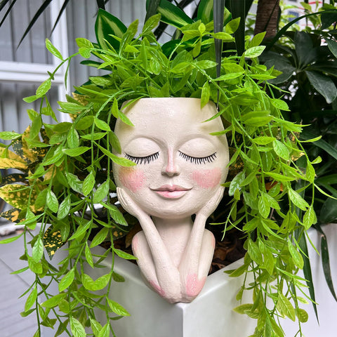 HDOOMN Face Planter drainage system keeps soil well-aerated for healthy roots