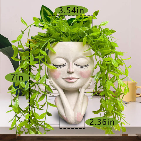 HDOOMN Face Planter indoor outdoor use fits many decor settings