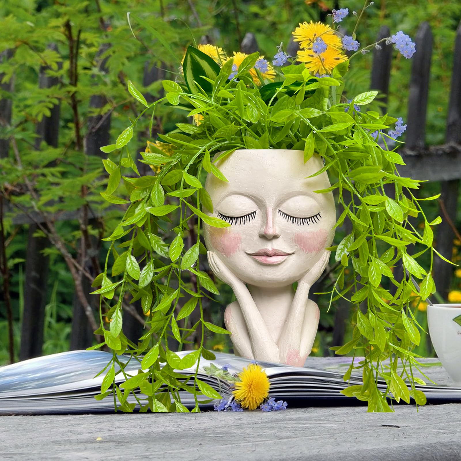 HDOOMN Face Planter showcases succulents in a charming compact display