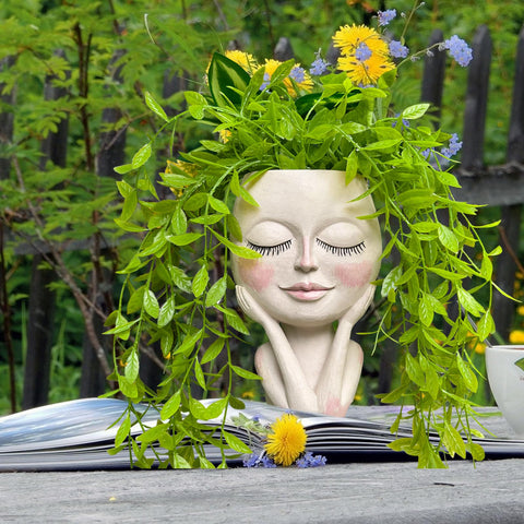 HDOOMN Face Planter showcases succulents in a charming compact display