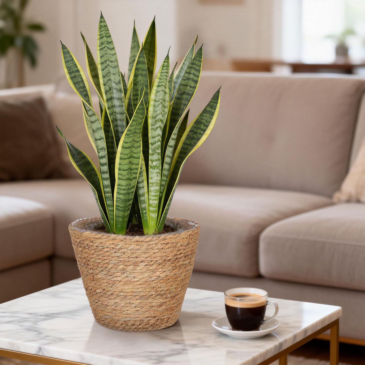 Healifty rustic boho planter elevates any living space with natural charm.