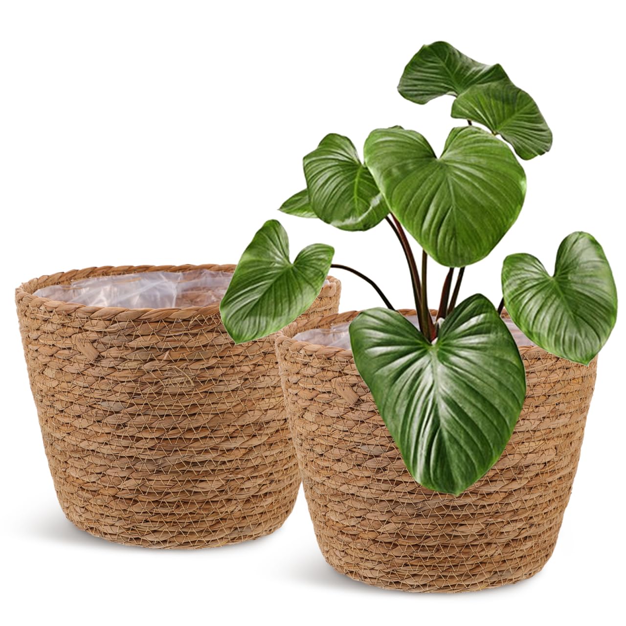 Healifty woven plant basket with liner showcases rustic texture for indoor plants.