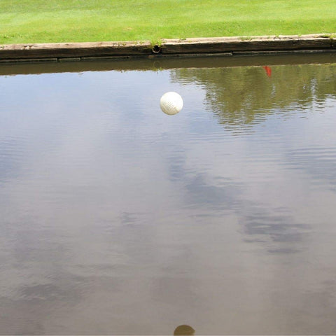 Healthy Ponds Aquasphere PRO safe-for-pond-life design protects pets and plants