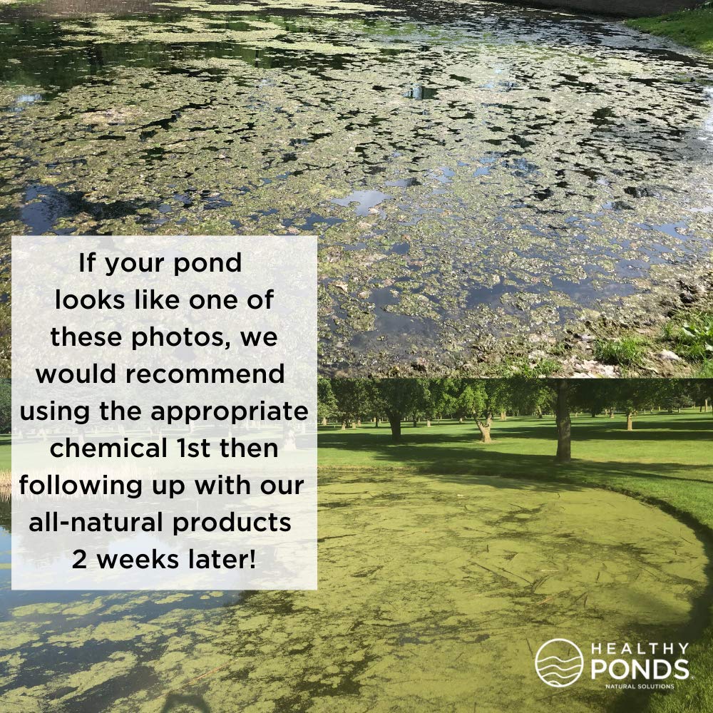 Healthy Ponds Aquasphere Pro timed-release system provides continuous water conditioning for 30 days.