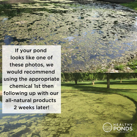 Healthy Ponds Aquasphere Pro timed-release system provides continuous water conditioning for 30 days.