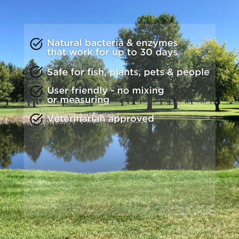 Aquasphere Pro timed-release technology sustains beneficial bacteria for 30 days